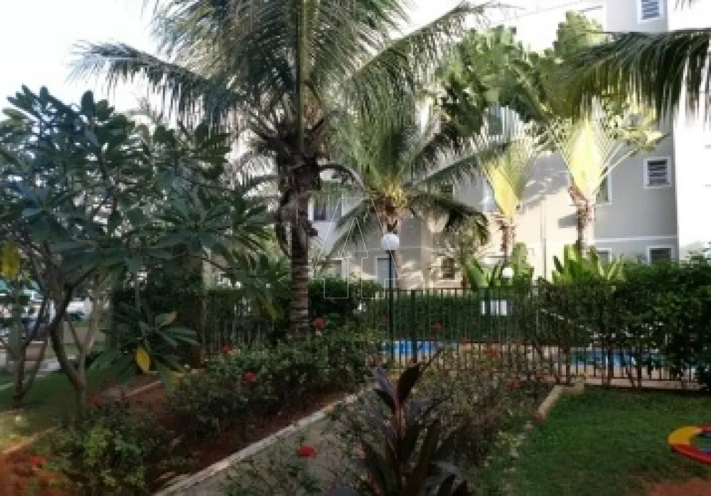 Comprar Apartamento / Padrão em Araçatuba R$ 170.000,00 - Foto 12