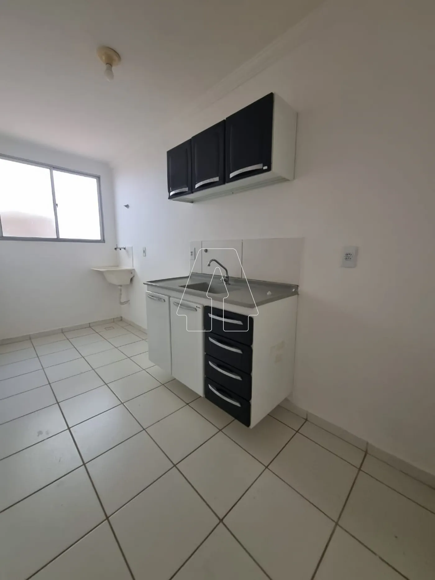 Alugar Apartamento / Padrão em Araçatuba R$ 800,00 - Foto 5