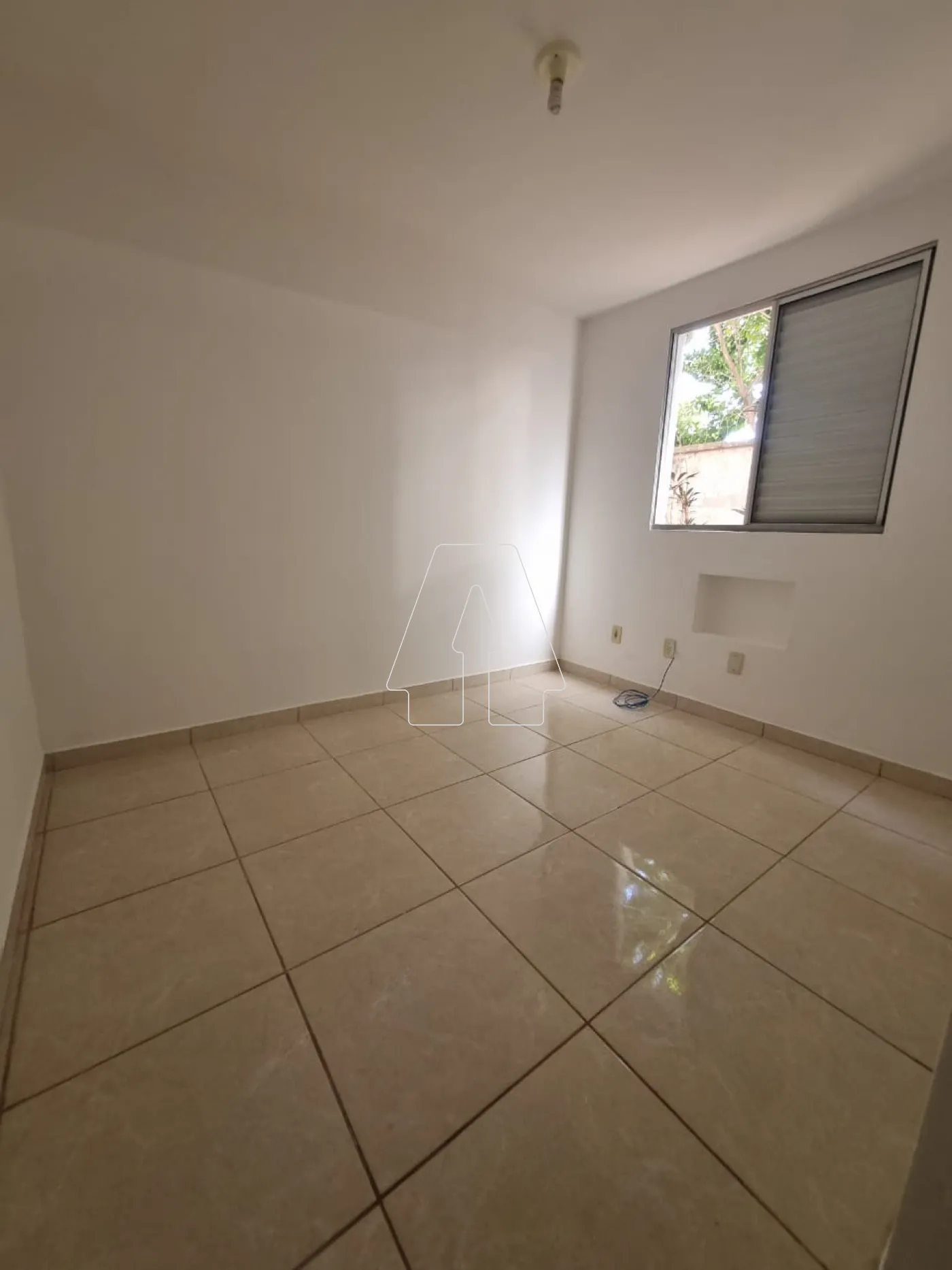 Alugar Apartamento / Padrão em Araçatuba R$ 800,00 - Foto 3