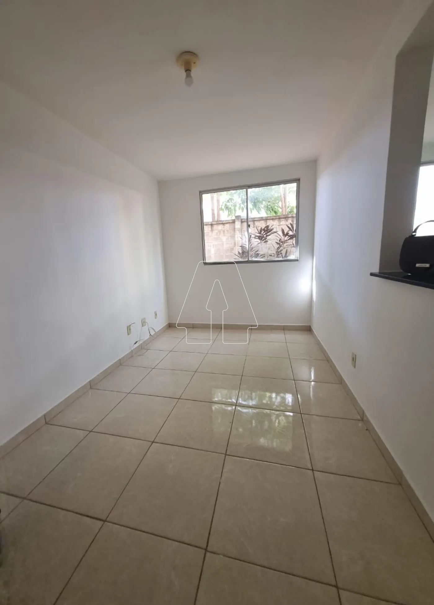 Alugar Apartamento / Padrão em Araçatuba R$ 800,00 - Foto 1