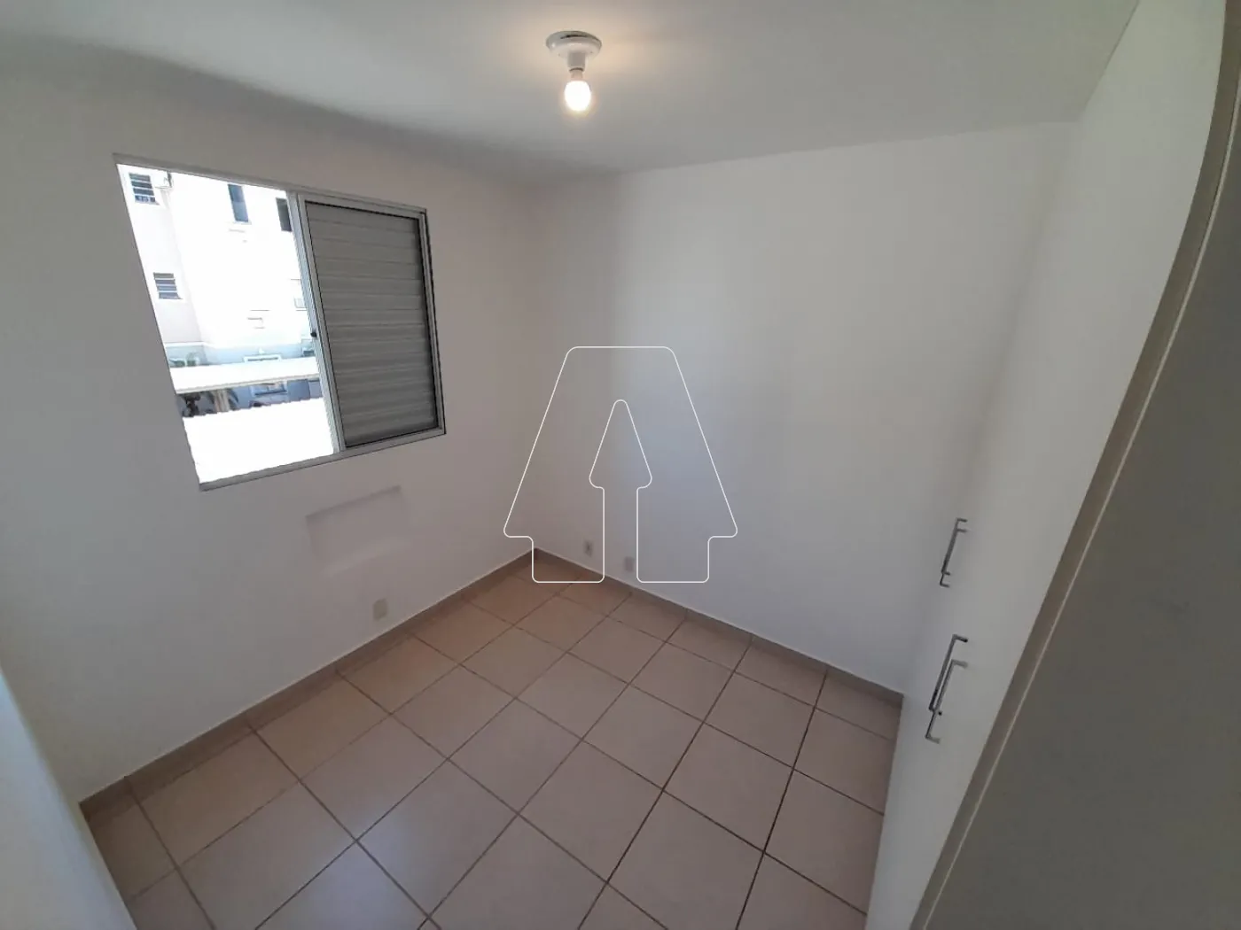Alugar Apartamento / Padrão em Araçatuba R$ 1.500,00 - Foto 5