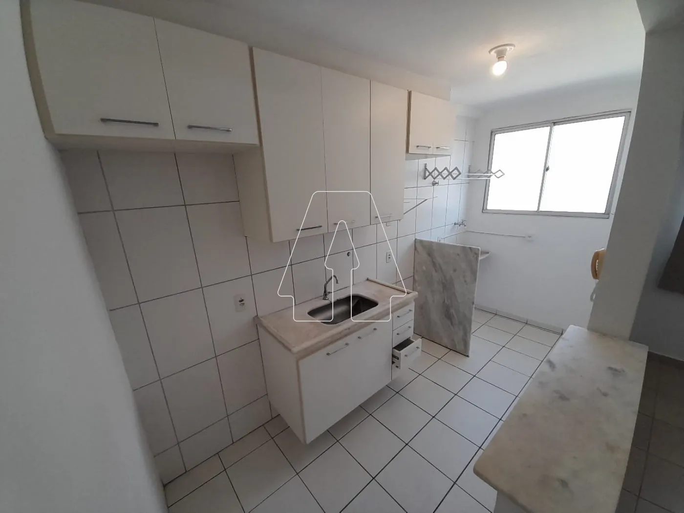 Alugar Apartamento / Padrão em Araçatuba R$ 1.500,00 - Foto 11