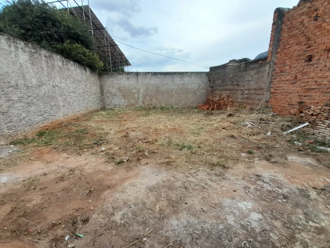 Alugar Casa / Residencial em Araçatuba R$ 800,00 - Foto 12