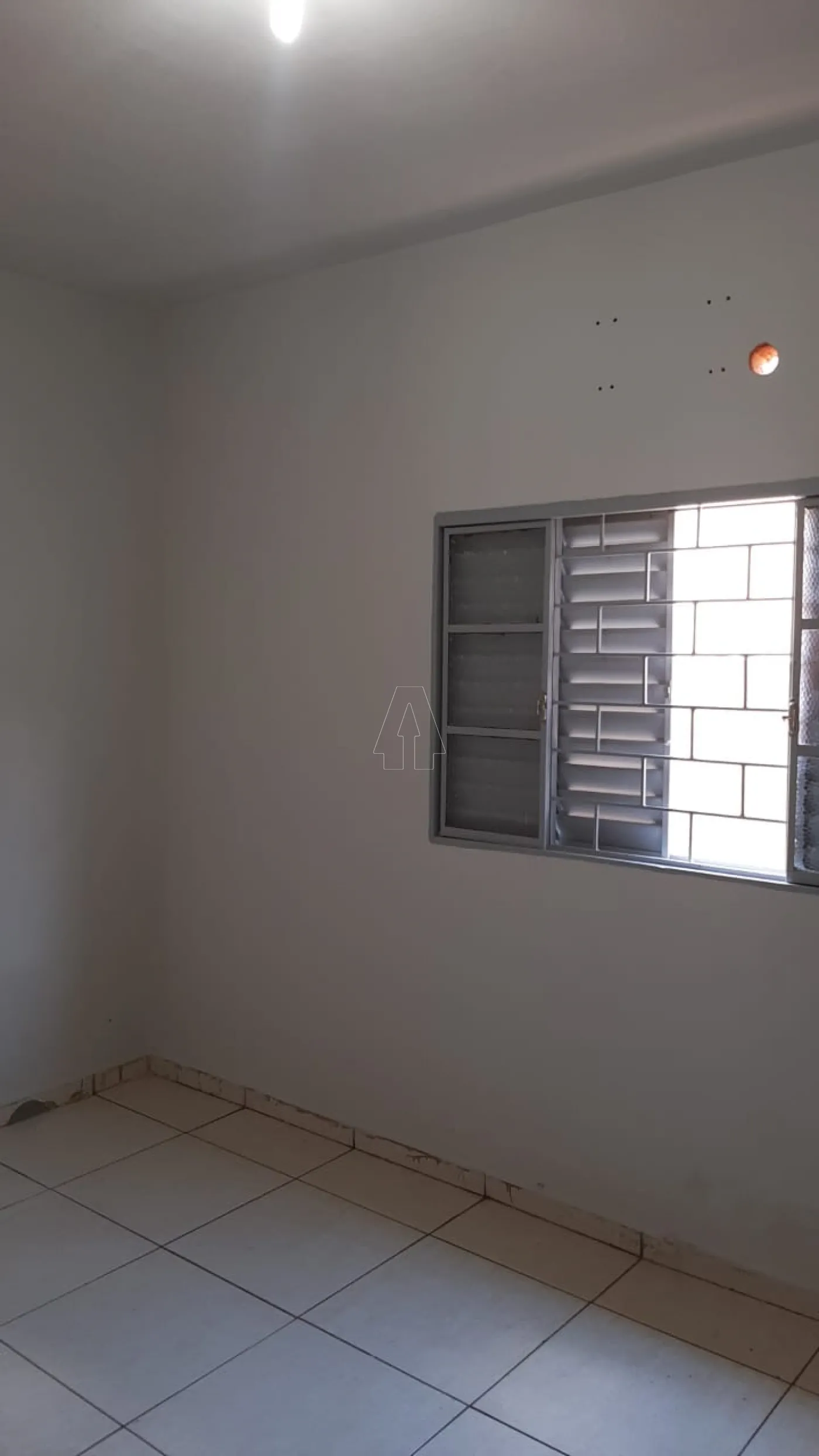 Alugar Casa / Residencial em Araçatuba R$ 900,00 - Foto 5