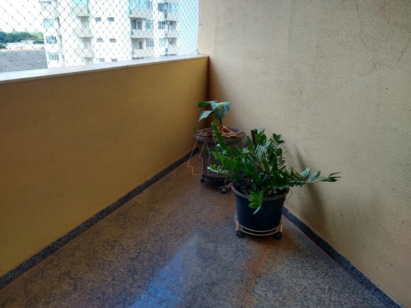 Alugar Apartamento / Padrão em Araçatuba R$ 750,00 - Foto 8