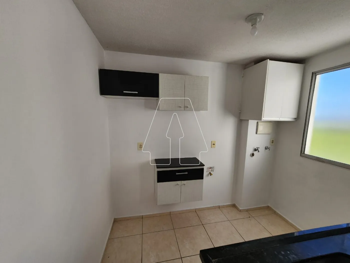 Alugar Apartamento / Padrão em Araçatuba R$ 1.200,00 - Foto 5