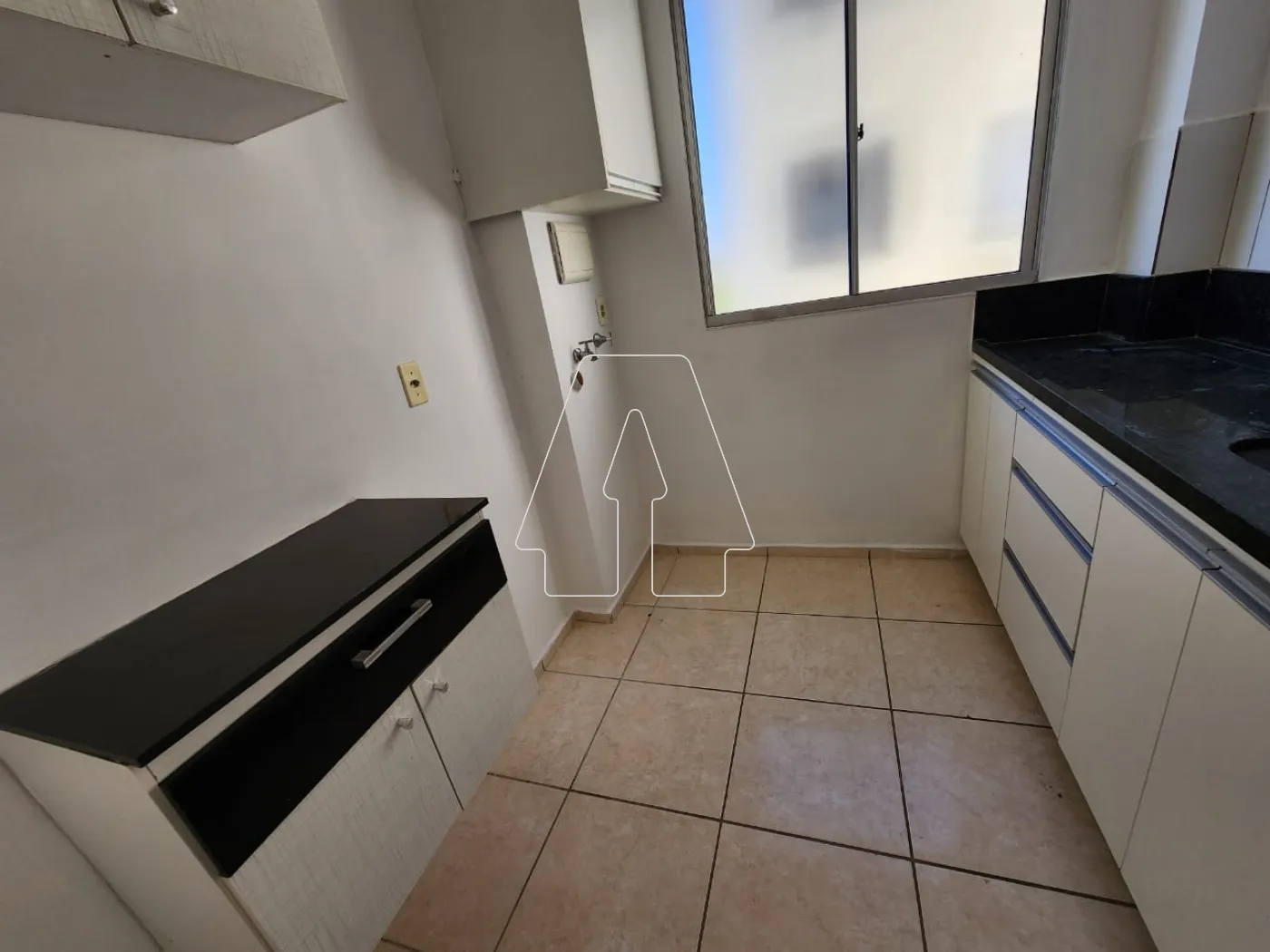 Alugar Apartamento / Padrão em Araçatuba R$ 1.200,00 - Foto 3