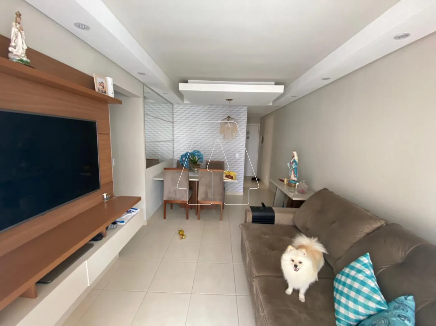 Alugar Apartamento / Padrão em Araçatuba R$ 1.800,00 - Foto 1