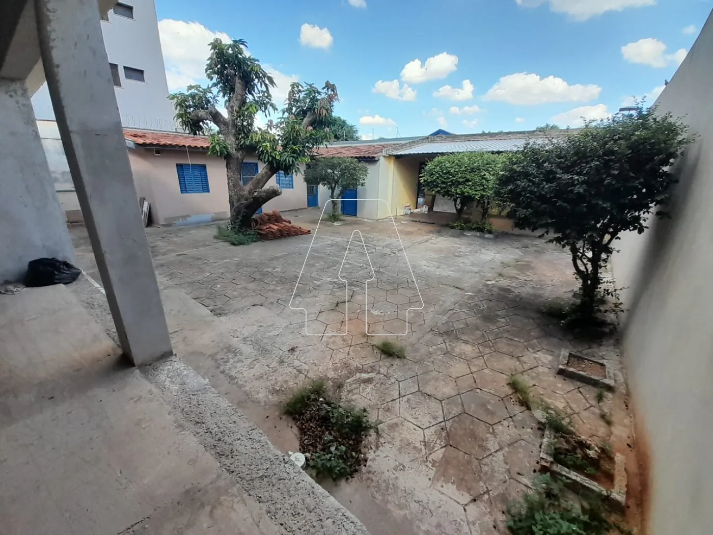 Alugar Comercial / Casa em Araçatuba R$ 7.000,00 - Foto 18