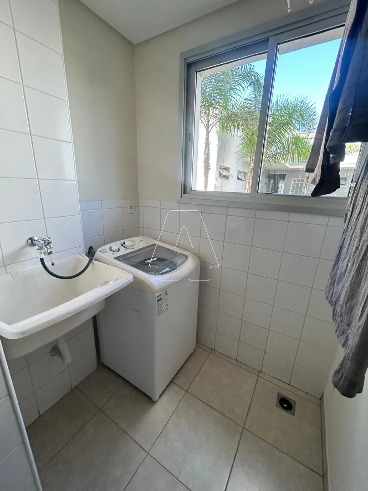 Alugar Apartamento / Padrão em Araçatuba R$ 1.250,00 - Foto 4