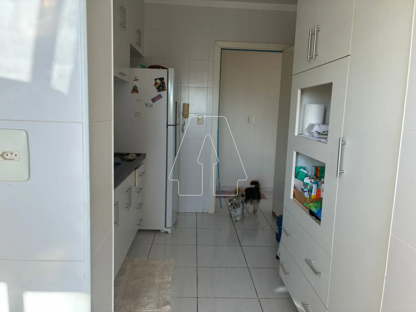 Comprar Apartamento / Padrão em Araçatuba R$ 450.000,00 - Foto 5