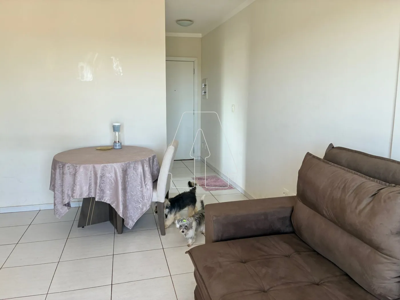Comprar Apartamento / Padrão em Araçatuba R$ 450.000,00 - Foto 4