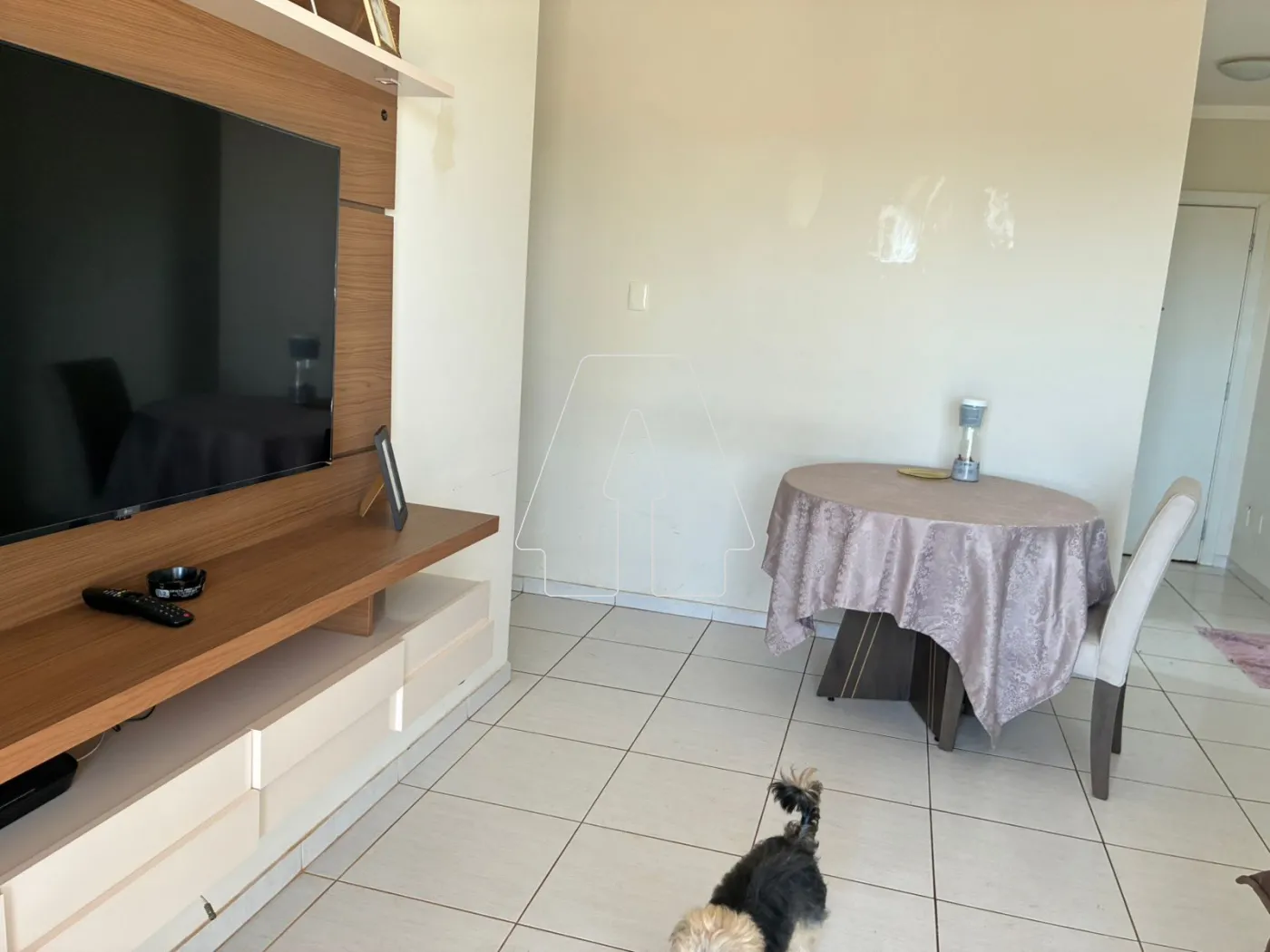Comprar Apartamento / Padrão em Araçatuba R$ 450.000,00 - Foto 3