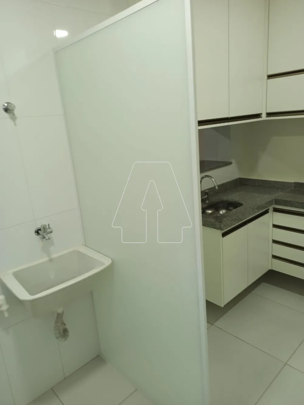 Alugar Apartamento / Padrão em Araçatuba R$ 3.600,00 - Foto 17