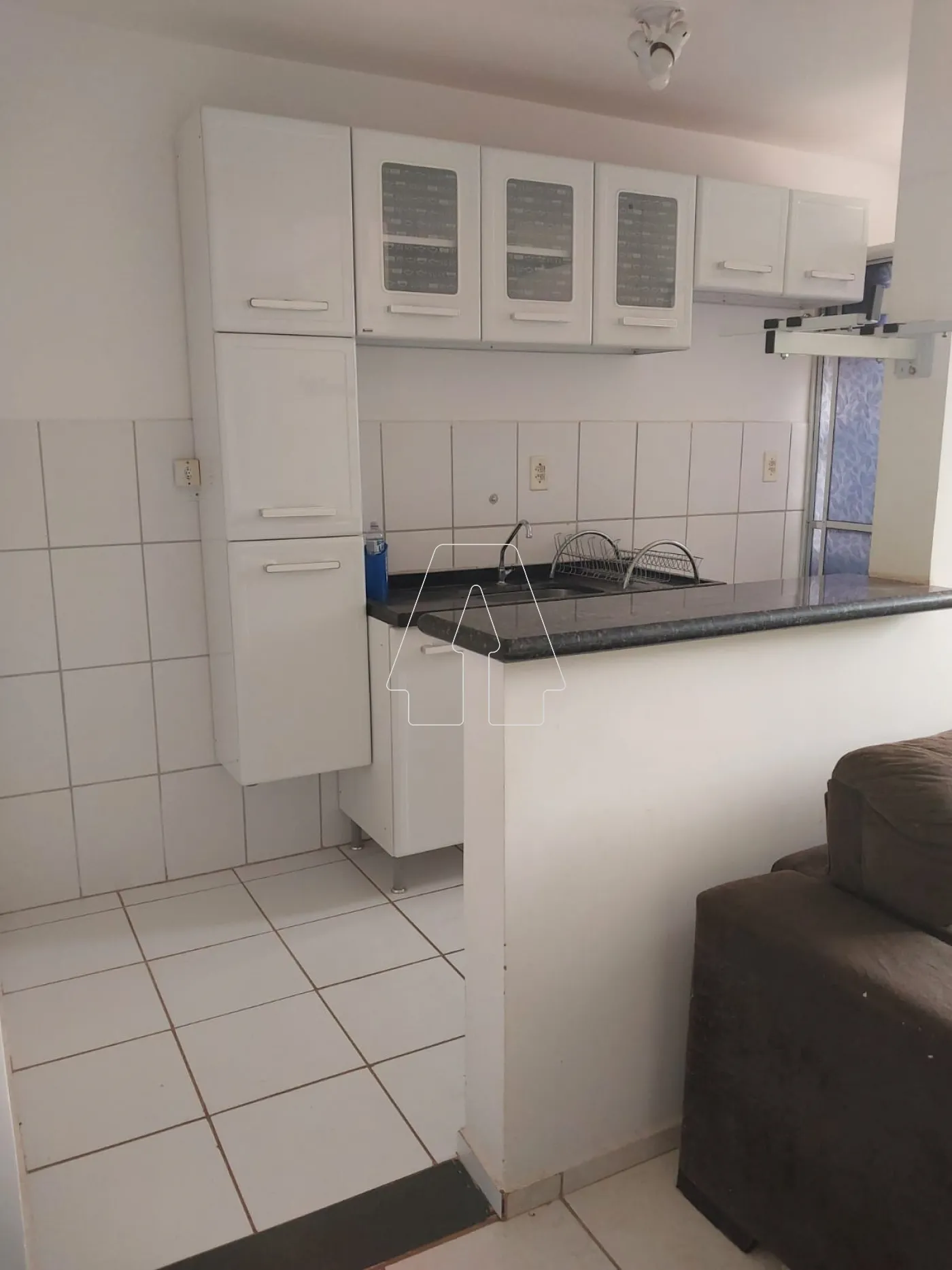 Alugar Apartamento / Padrão em Araçatuba R$ 800,00 - Foto 2
