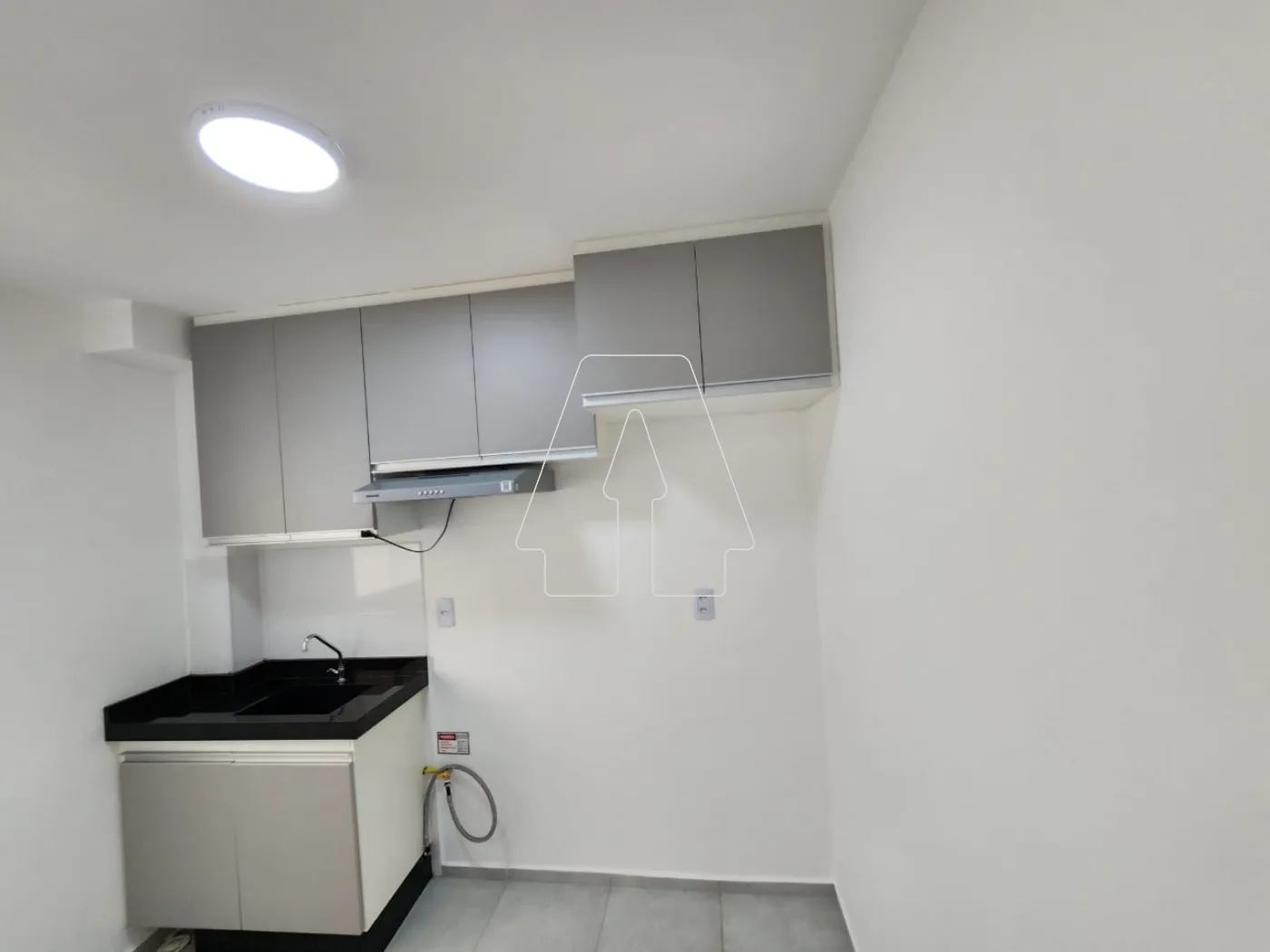 Alugar Apartamento / Padrão em Araçatuba R$ 1.300,00 - Foto 3