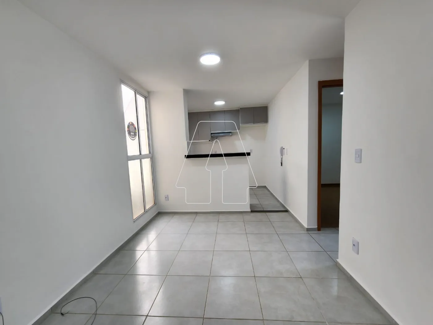 Alugar Apartamento / Padrão em Araçatuba R$ 1.300,00 - Foto 1