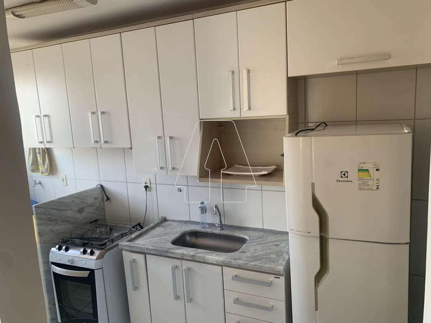 Alugar Apartamento / Padrão em Araçatuba R$ 1.350,00 - Foto 3