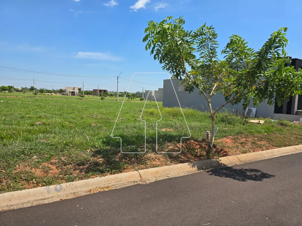 Comprar Terreno / Condomínio em Araçatuba R$ 155.000,00 - Foto 3