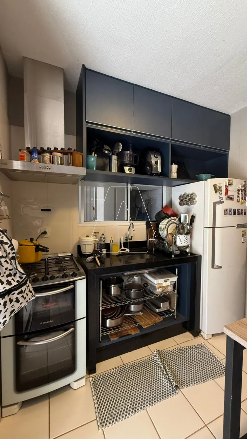 Comprar Casa / Condomínio em Araçatuba R$ 260.000,00 - Foto 8