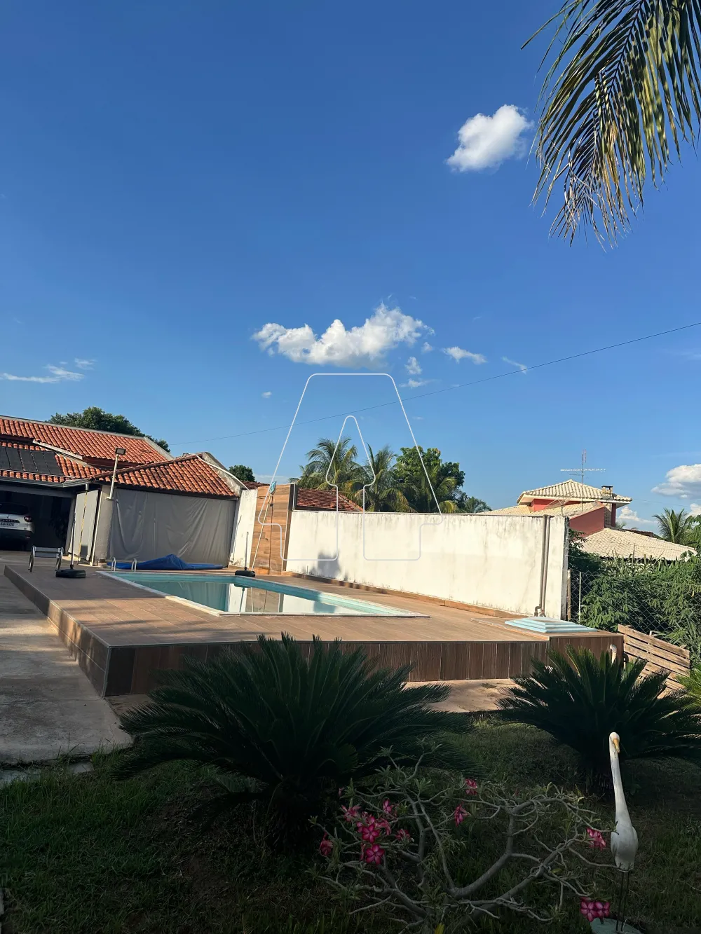 Comprar Rural / Rancho em Santo Antônio do Aracanguá R$ 380.000,00 - Foto 3