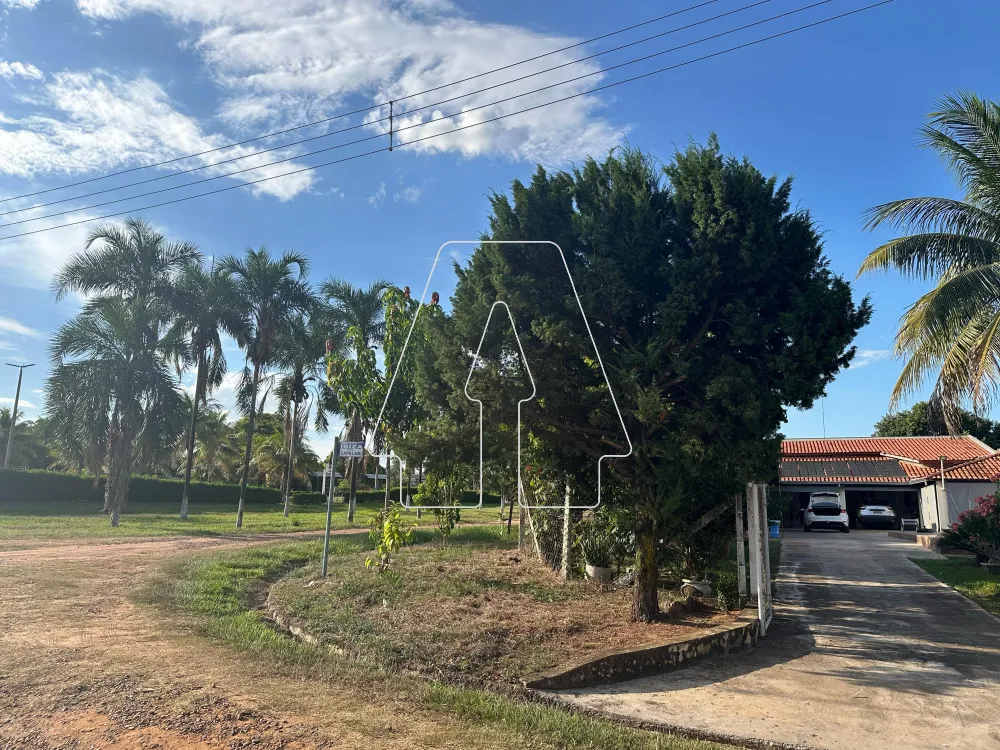 Comprar Rural / Rancho em Santo Antônio do Aracanguá R$ 380.000,00 - Foto 6