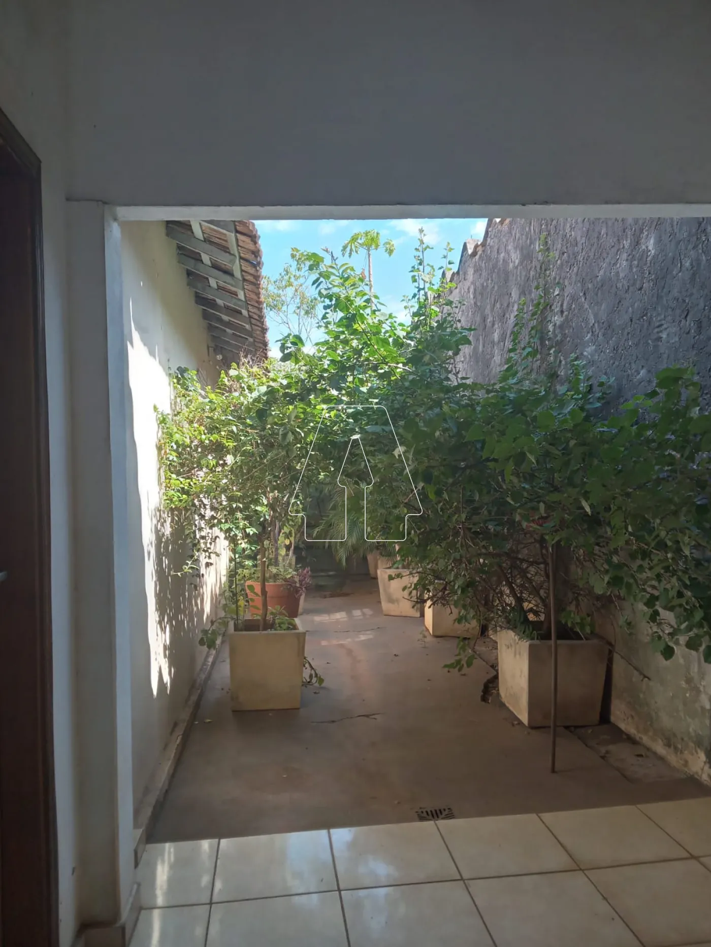 Comprar Casa / Residencial em Araçatuba R$ 360.000,00 - Foto 8