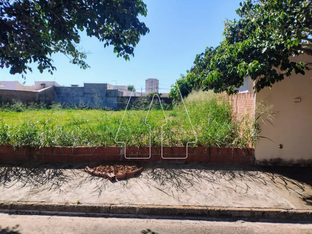Comprar Terreno / Padrão em Araçatuba R$ 165.000,00 - Foto 3