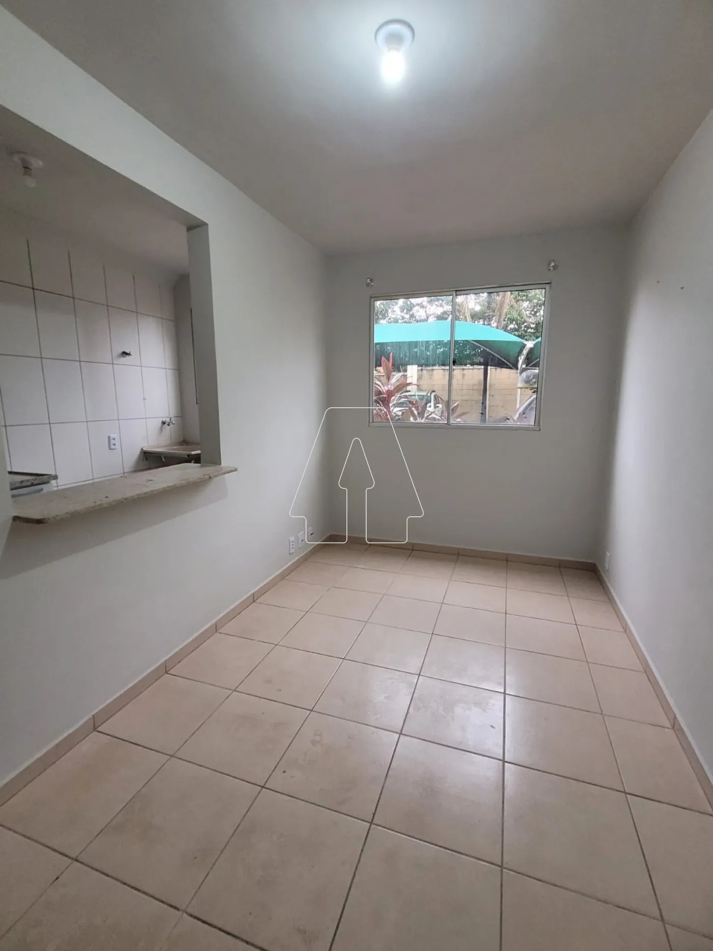 Alugar Apartamento / Padrão em Araçatuba R$ 1.400,00 - Foto 1