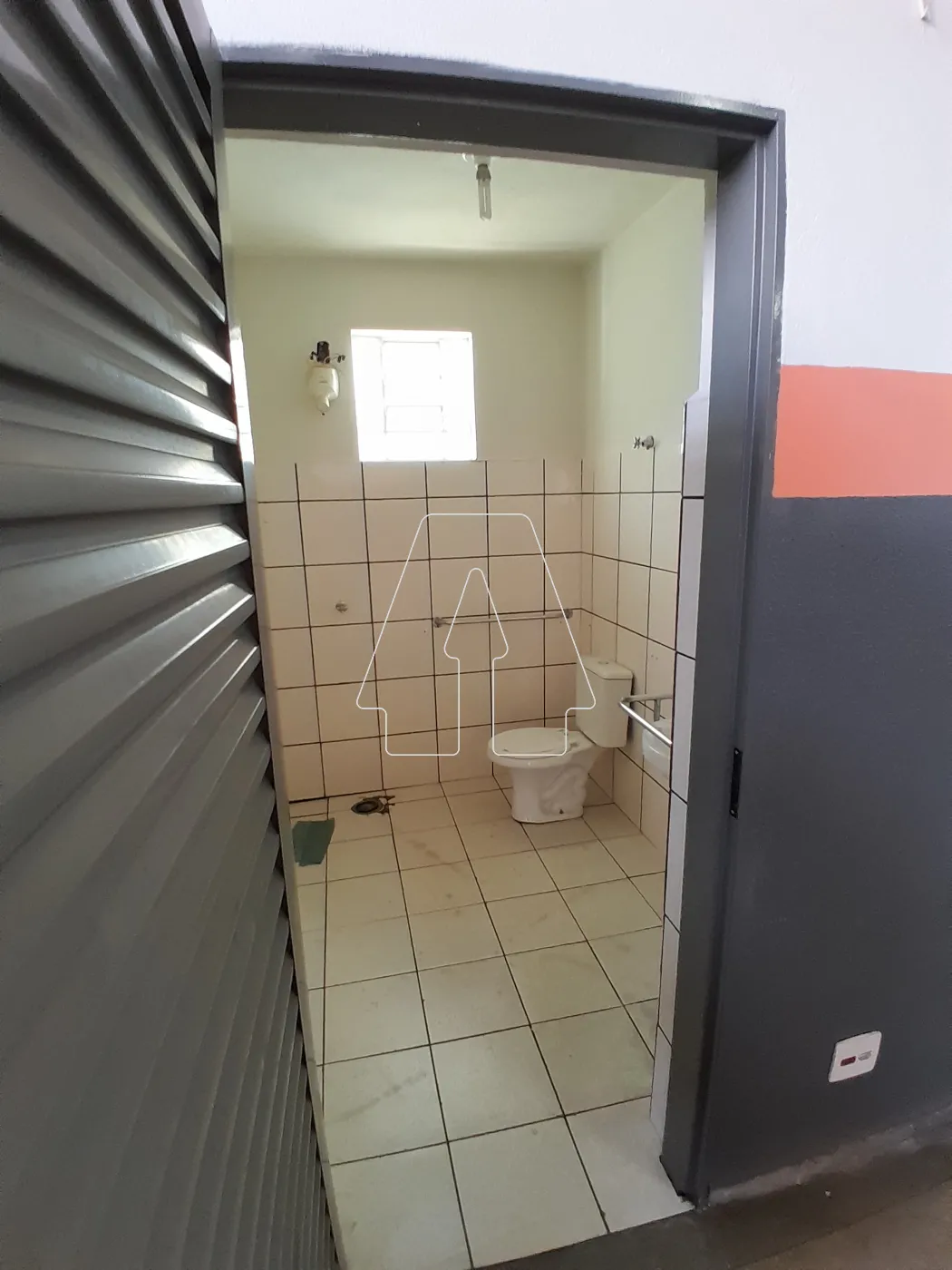 Alugar Comercial / Barracão em Araçatuba R$ 3.000,00 - Foto 5