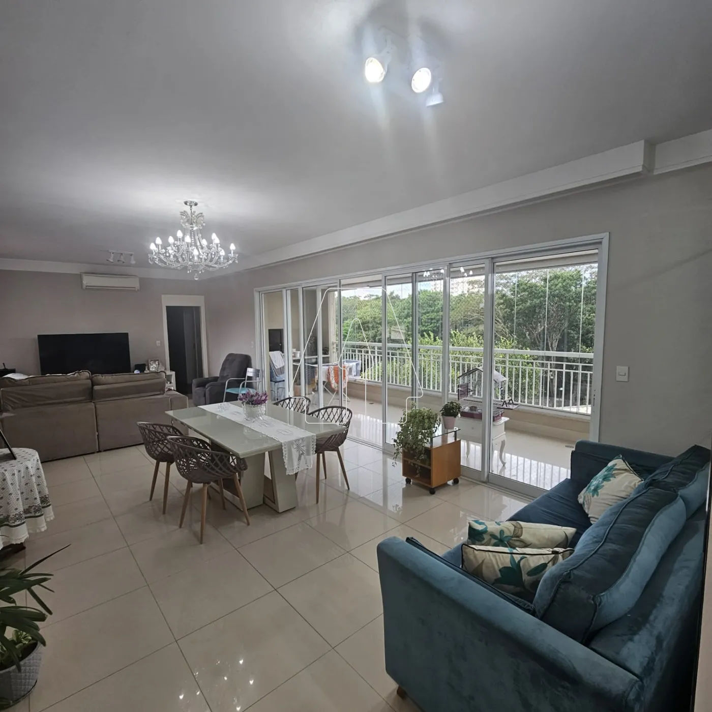 Alugar Apartamento / Padrão em Araçatuba R$ 4.500,00 - Foto 1