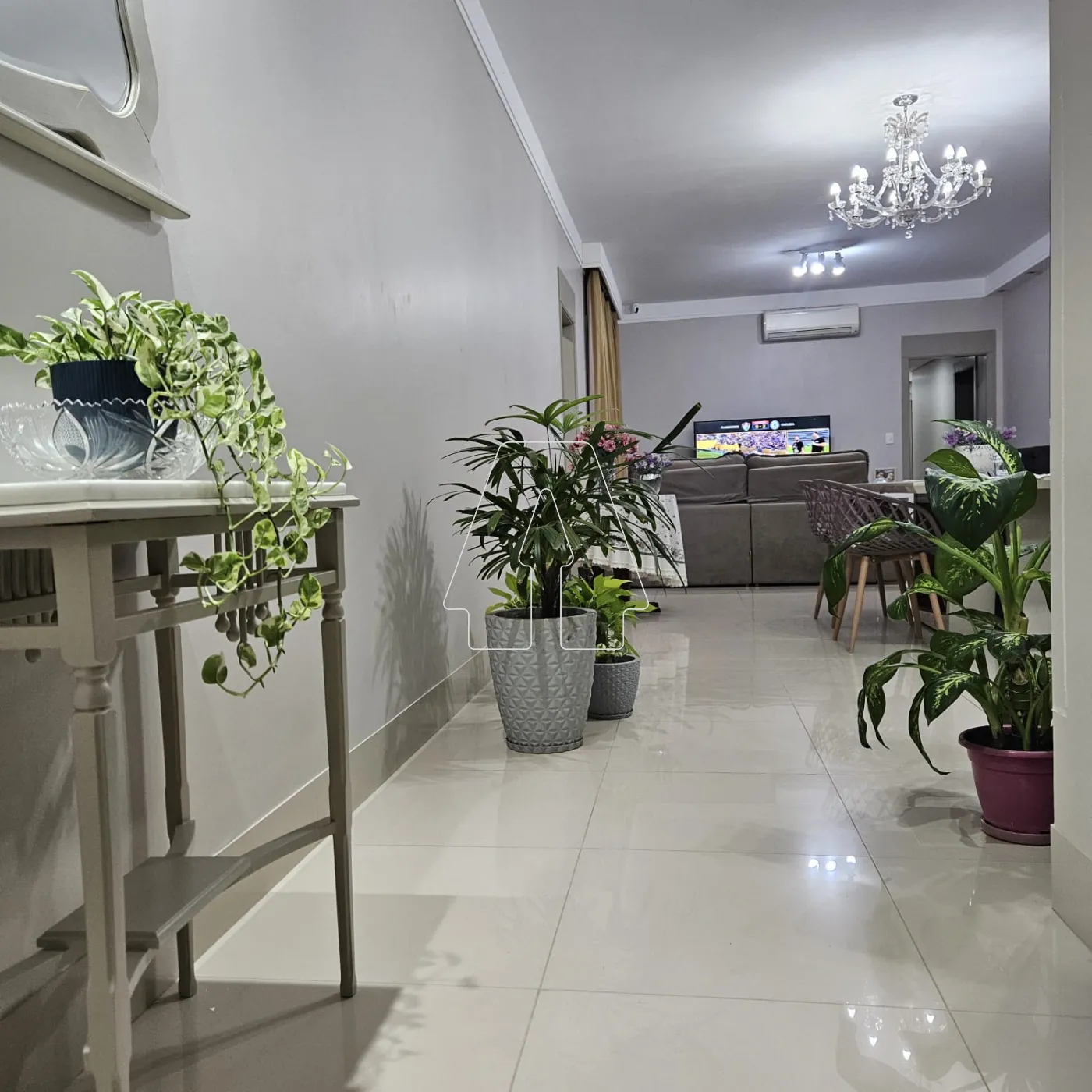Alugar Apartamento / Padrão em Araçatuba R$ 4.500,00 - Foto 7