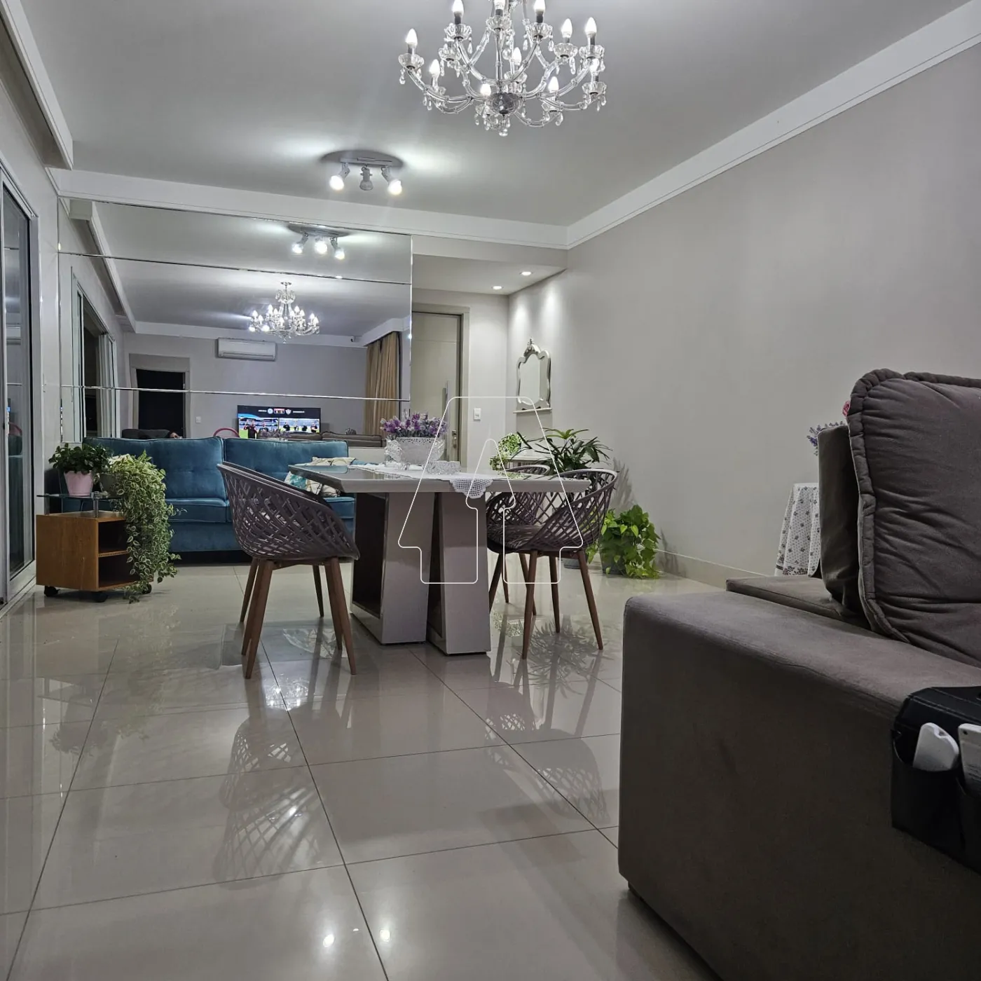 Alugar Apartamento / Padrão em Araçatuba R$ 4.500,00 - Foto 1