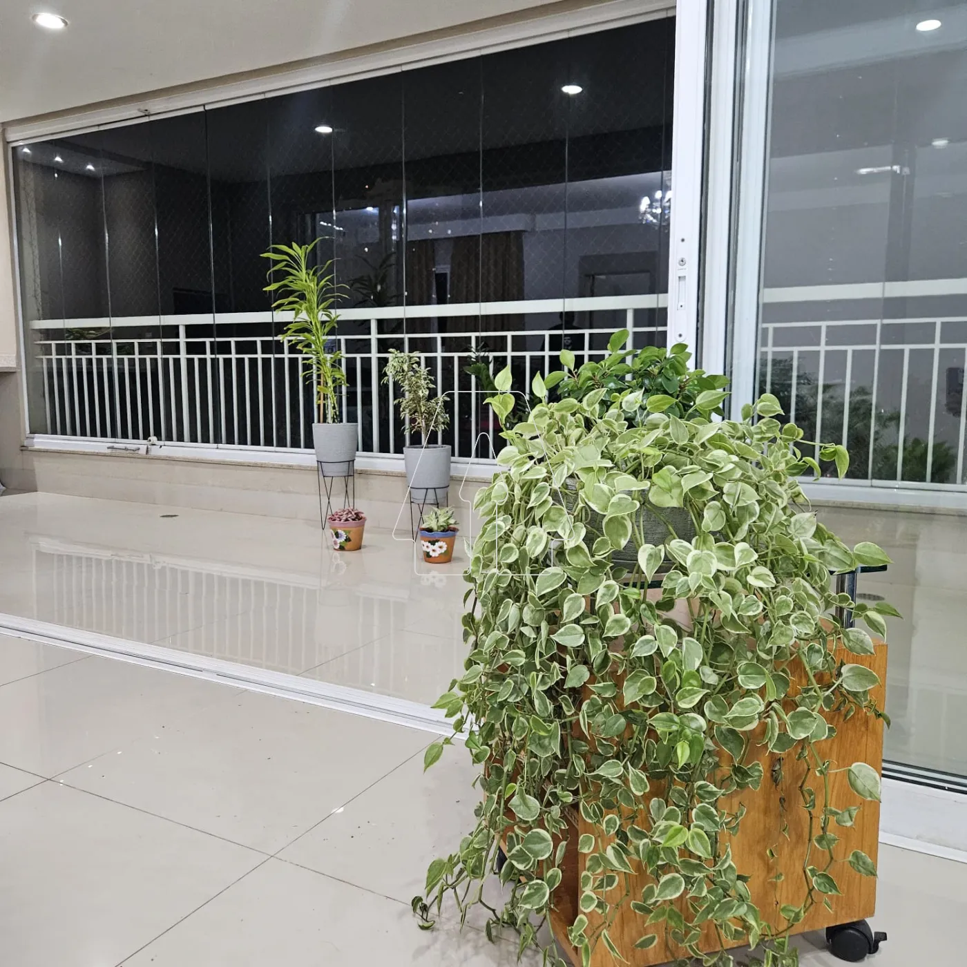 Alugar Apartamento / Padrão em Araçatuba R$ 4.500,00 - Foto 9