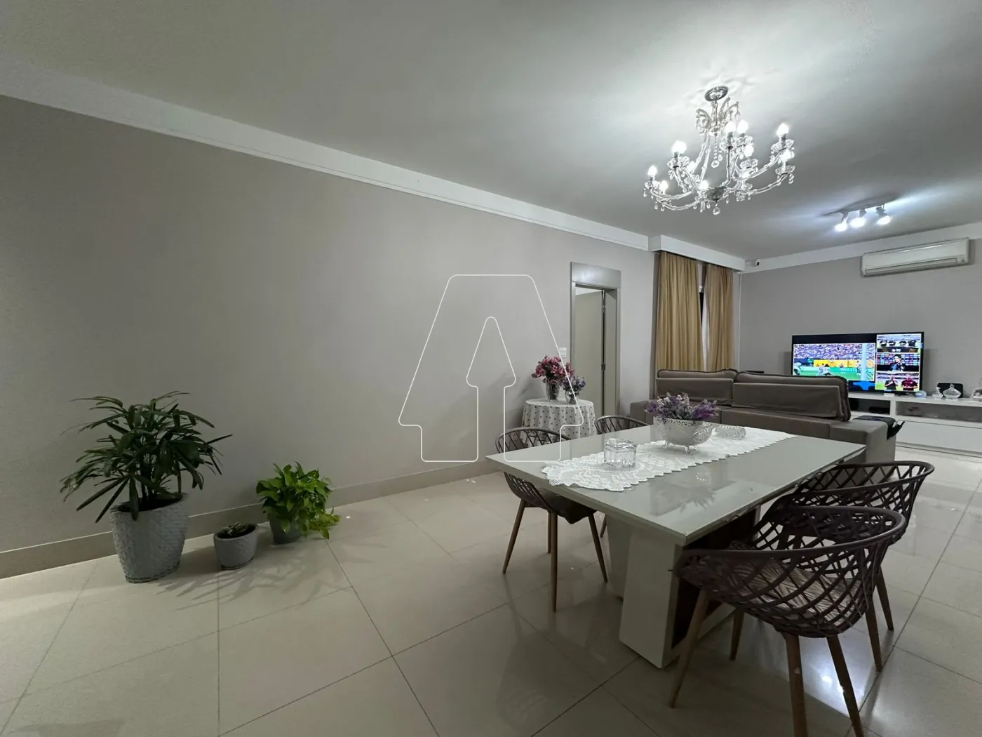 Alugar Apartamento / Padrão em Araçatuba R$ 4.500,00 - Foto 5