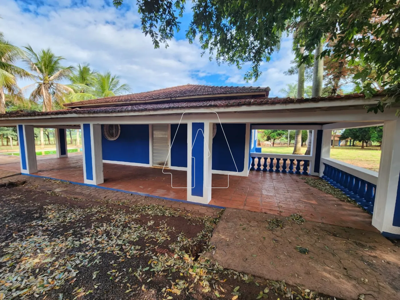 Alugar Rural / Chácara em Araçatuba R$ 3.500,00 - Foto 3