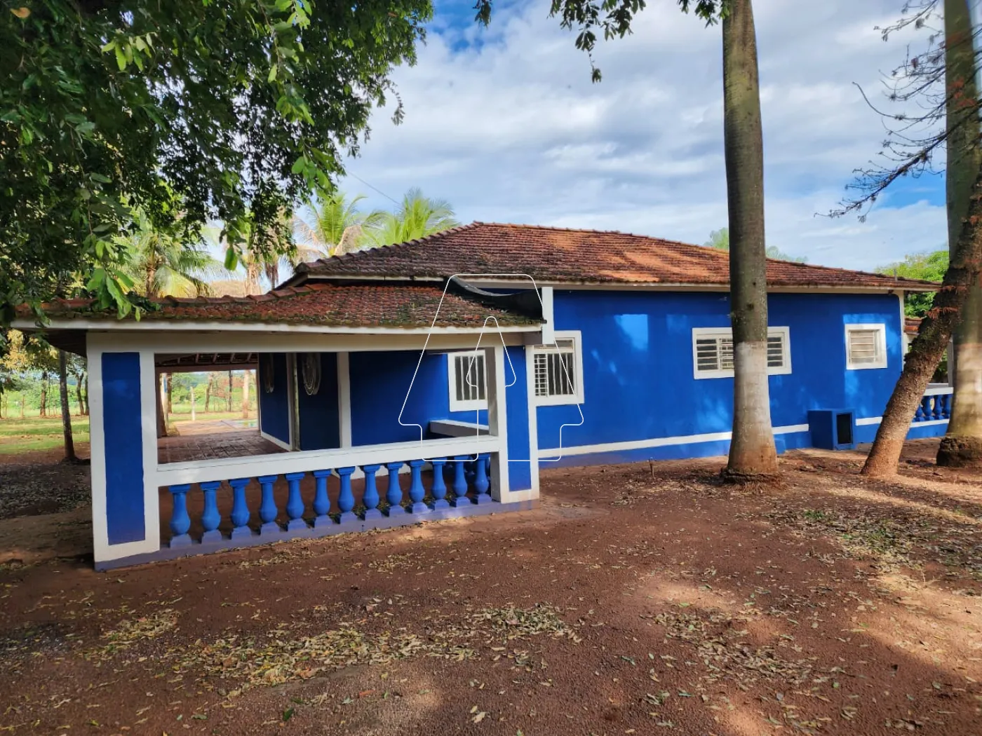 Alugar Rural / Chácara em Araçatuba R$ 3.500,00 - Foto 2