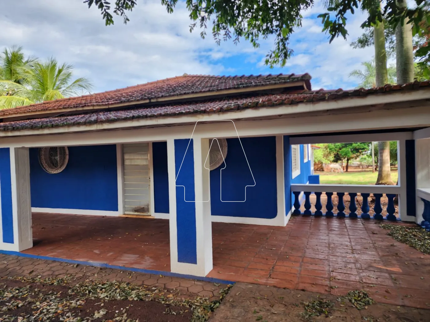 Alugar Rural / Chácara em Araçatuba R$ 3.500,00 - Foto 4