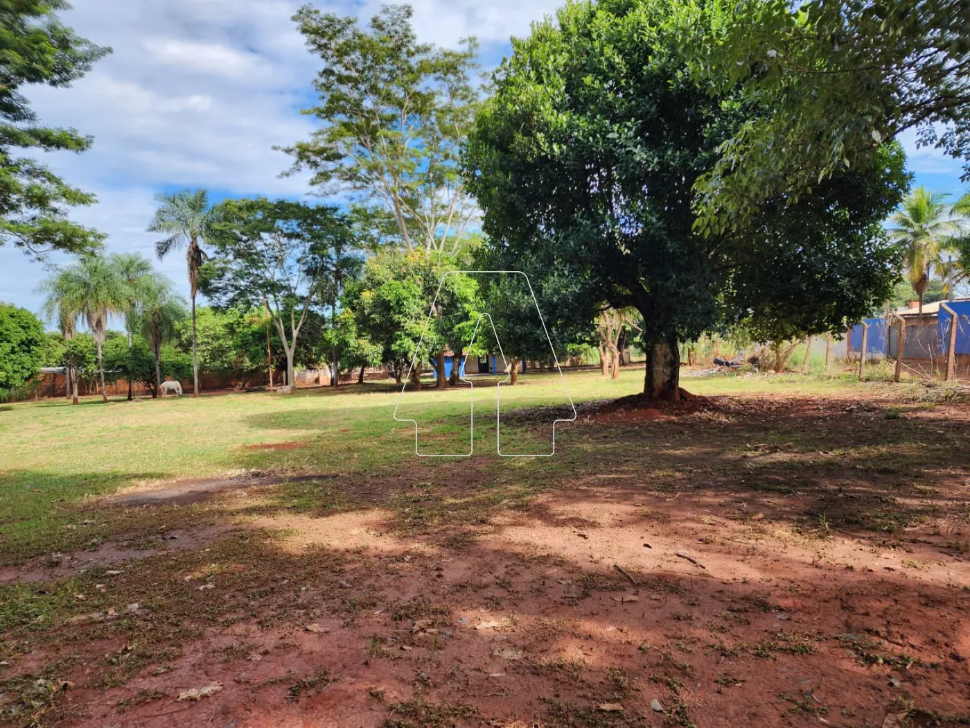Alugar Rural / Chácara em Araçatuba R$ 3.500,00 - Foto 14