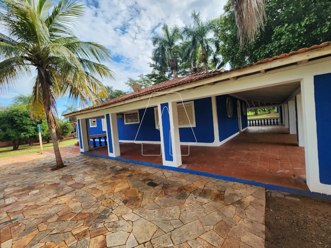 Alugar Rural / Chácara em Araçatuba R$ 3.500,00 - Foto 5