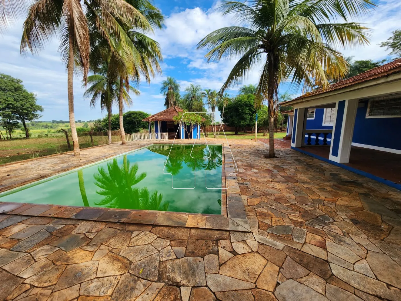 Alugar Rural / Chácara em Araçatuba R$ 3.500,00 - Foto 16