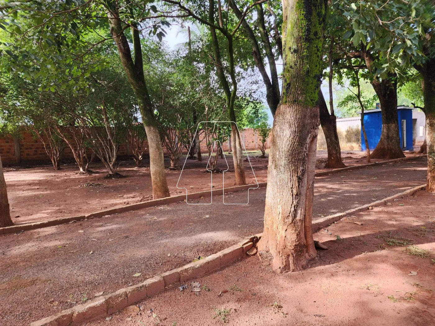Alugar Rural / Chácara em Araçatuba R$ 3.500,00 - Foto 13