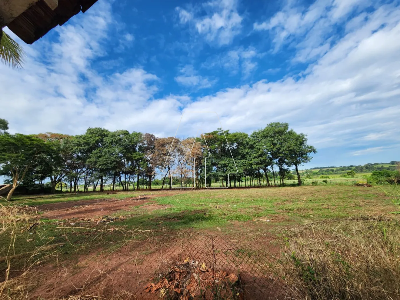 Alugar Rural / Chácara em Araçatuba R$ 3.500,00 - Foto 15