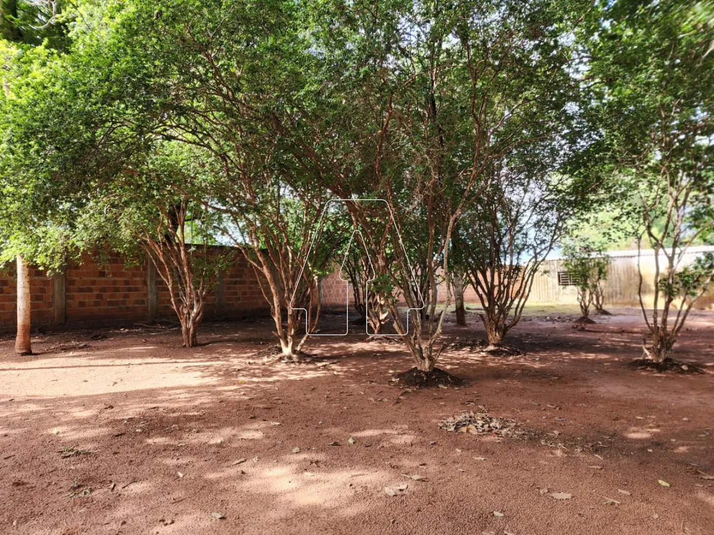 Alugar Rural / Chácara em Araçatuba R$ 3.500,00 - Foto 9