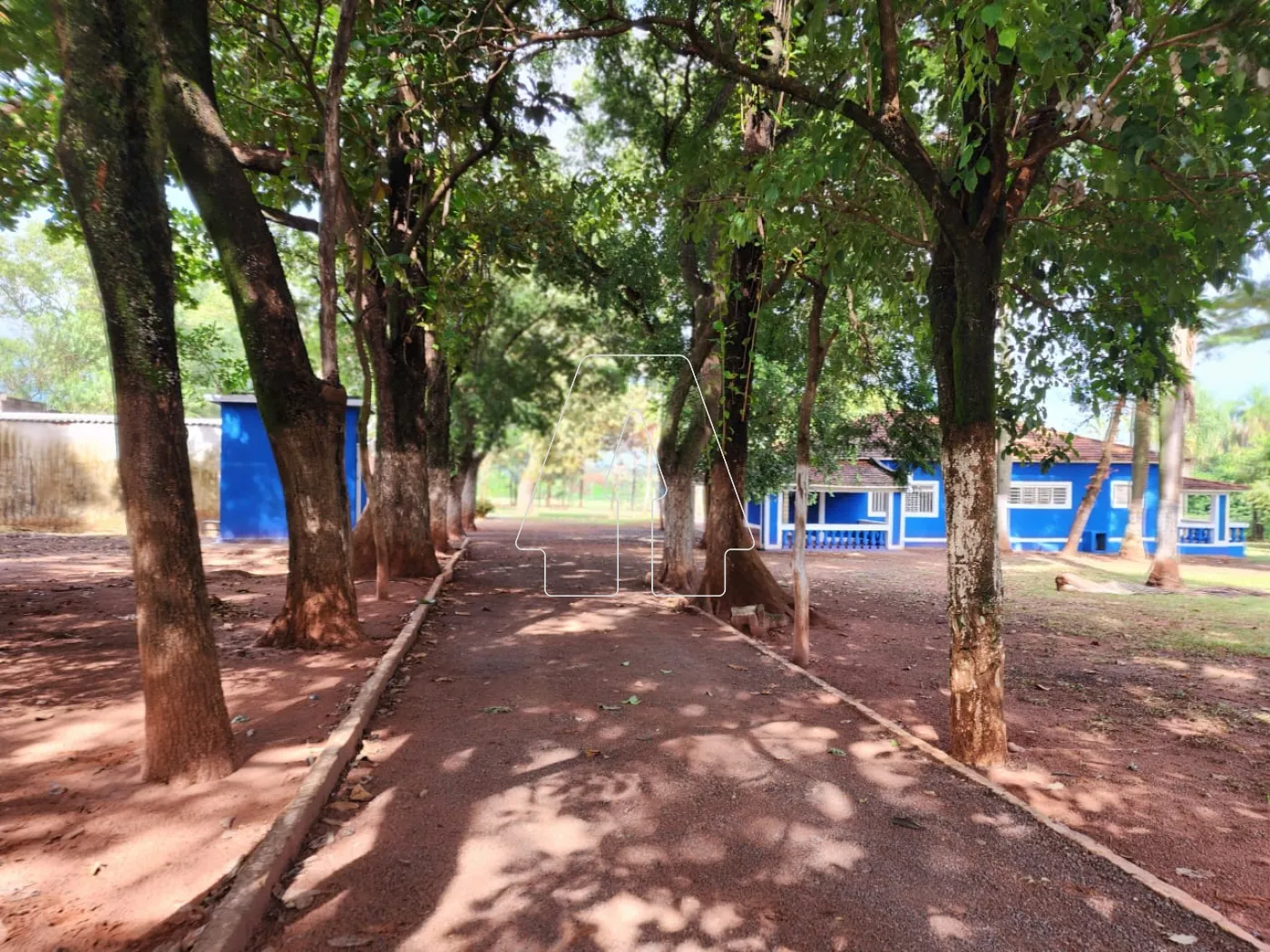 Alugar Rural / Chácara em Araçatuba R$ 3.500,00 - Foto 10