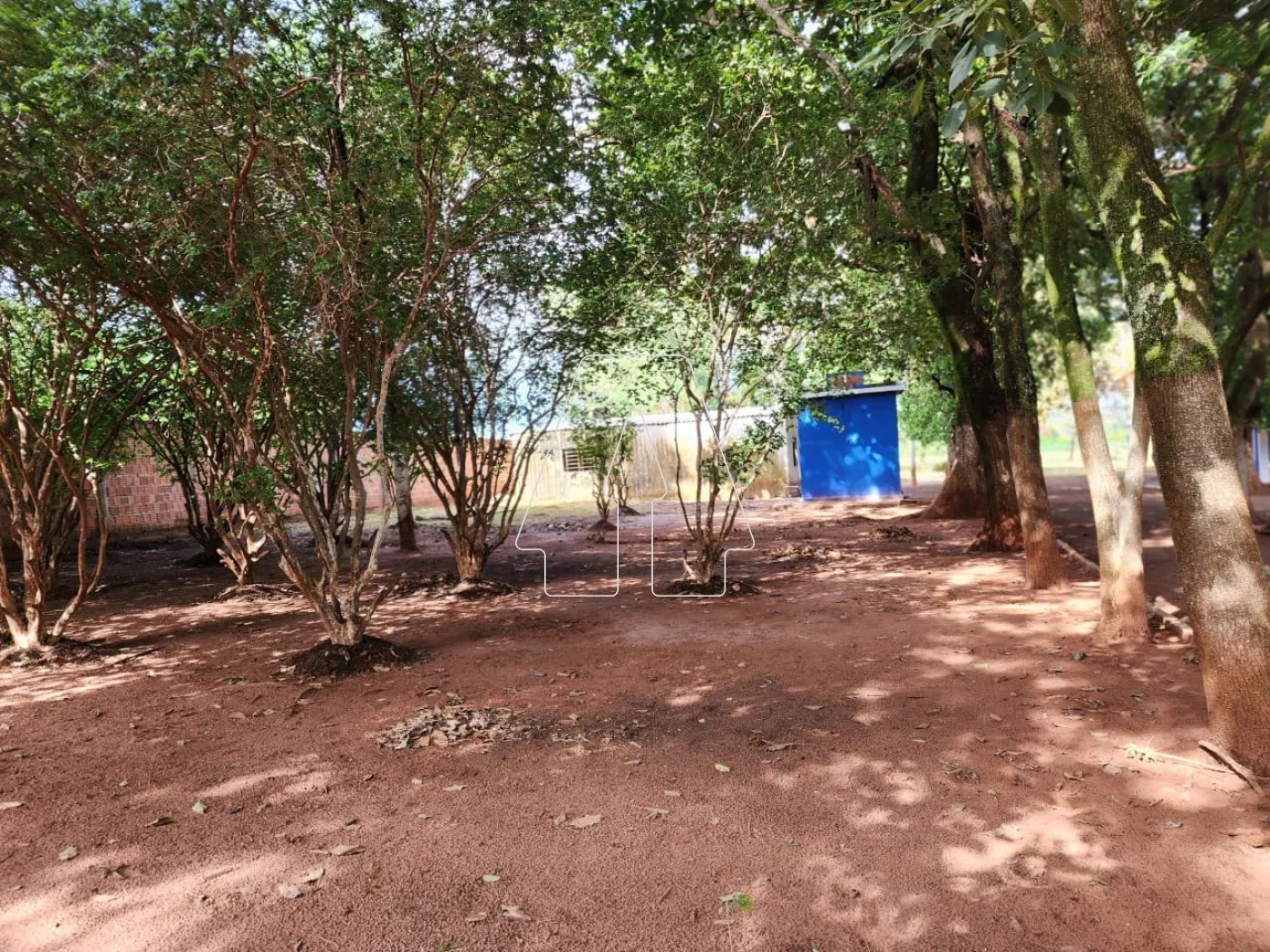 Alugar Rural / Chácara em Araçatuba R$ 3.500,00 - Foto 11