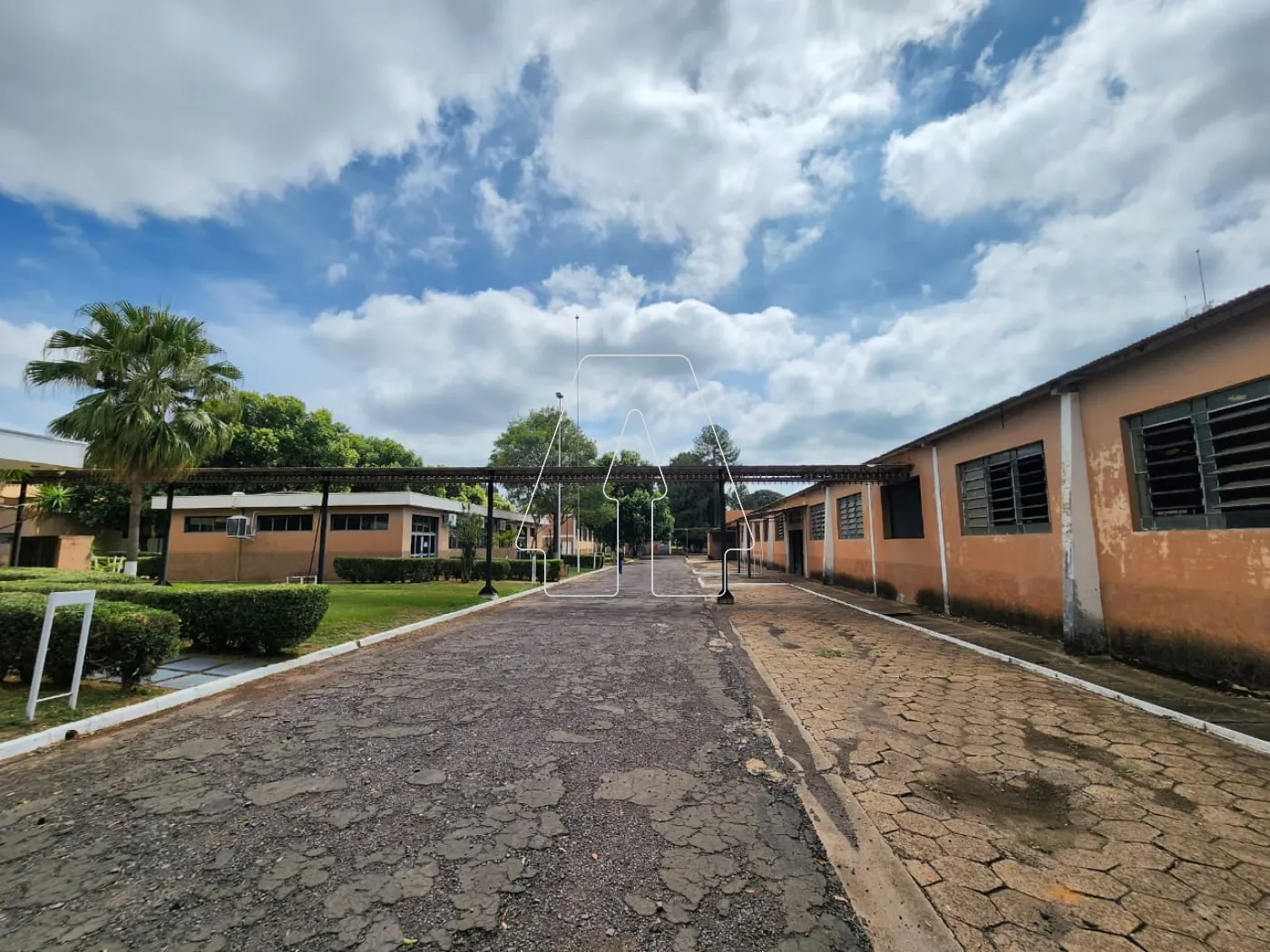 Comprar Comercial / Galpão em Araçatuba - Foto 7