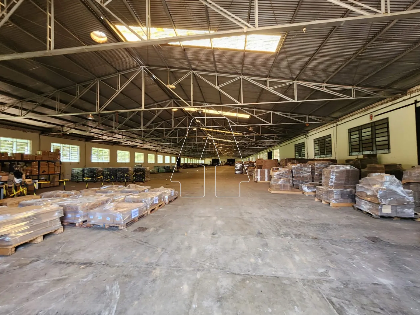 Comprar Comercial / Galpão em Araçatuba - Foto 5