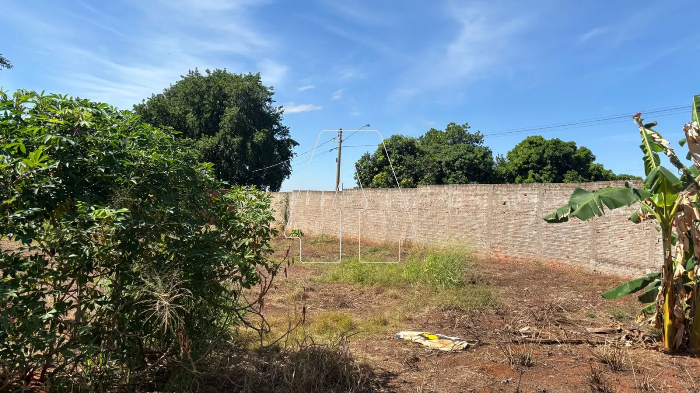 Alugar Terreno / Padrão em Araçatuba R$ 2.500,00 - Foto 3