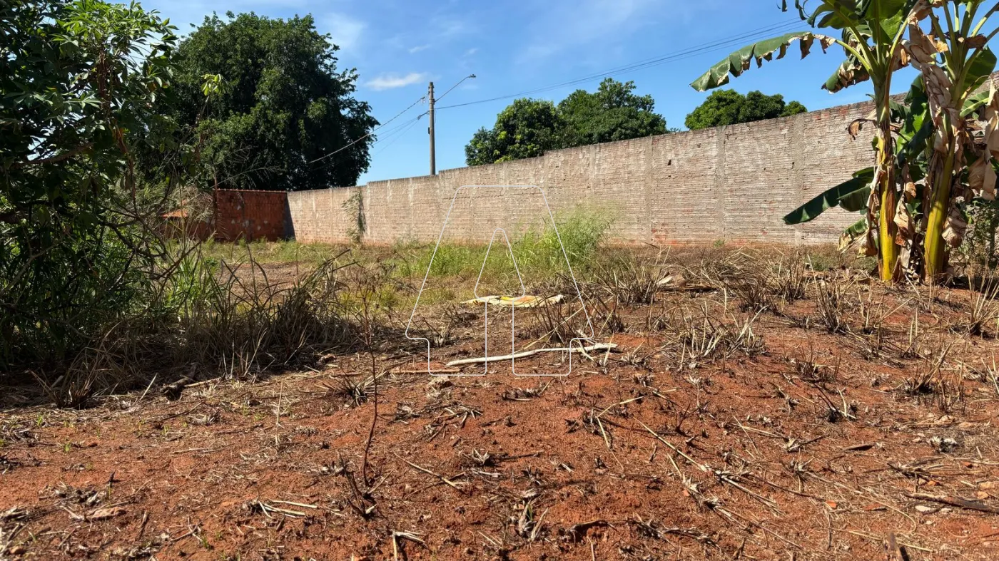 Alugar Terreno / Padrão em Araçatuba R$ 2.500,00 - Foto 4